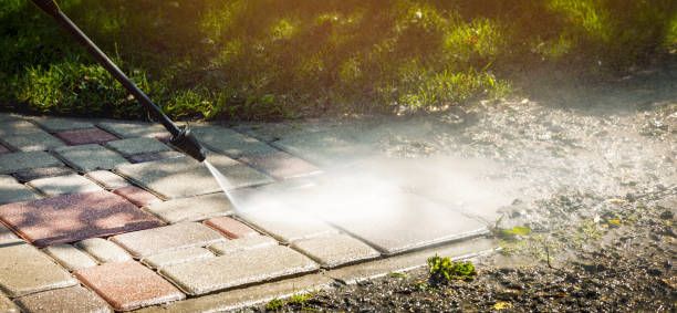 Best Animal Enclosure Cleaning  in West Loch Estate, HI